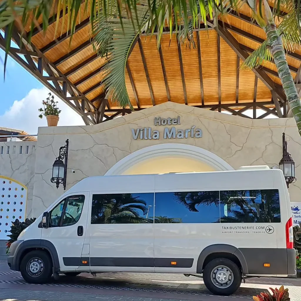 Taxi Bus Tenerife - Traslados guiados por Tenerife