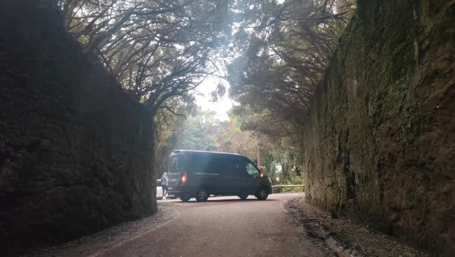 Taxi Bus Tenerife - traslados excursiones turísticas en Tenerife